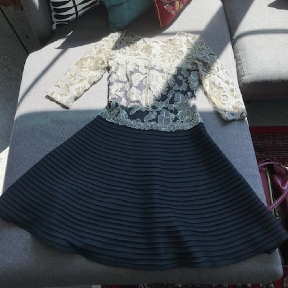 Formal Lace Tadashi Shoji Dress (Size 4)